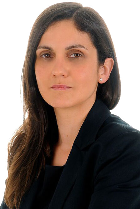 Spoor and Fisher Team - Electronics, IT and Software