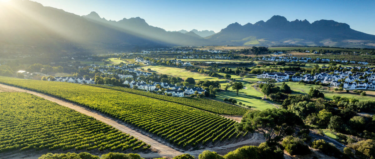 When Wine Law Comes to Africa: AIDV Heads to Stellenbosch