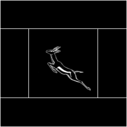 Springboks-logo